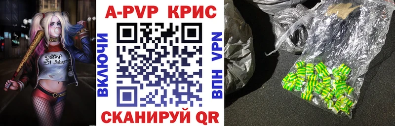 A PVP СК КРИС  Нестеров 