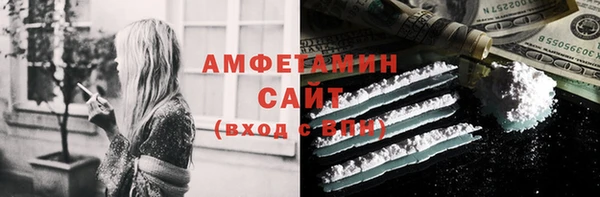 дживик Бородино