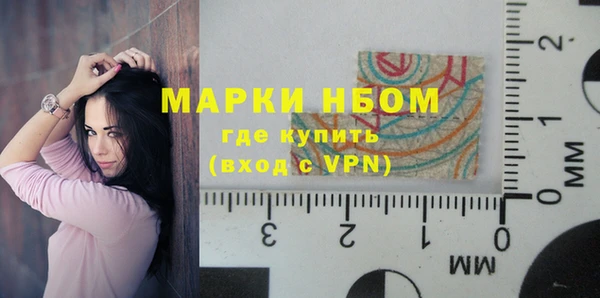 дживик Бородино