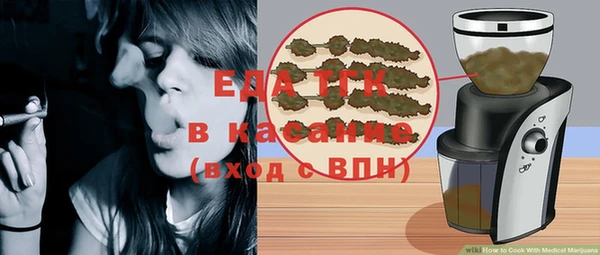 дживик Бородино