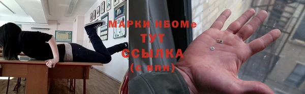 дживик Бородино