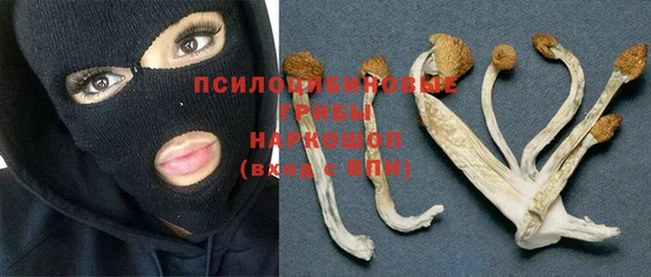мяу мяу мука Бугульма