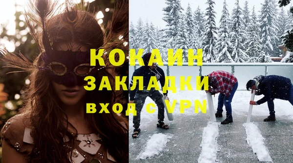 дживик Бородино