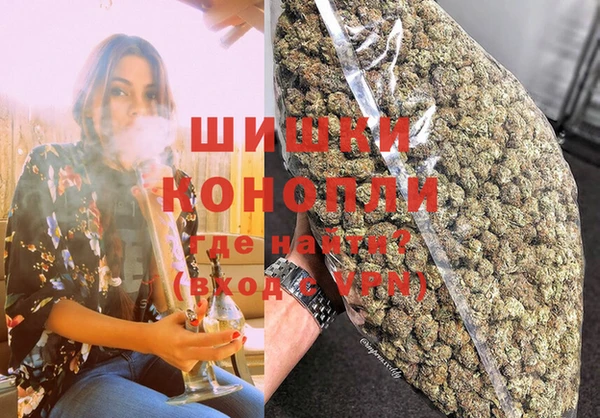 дживик Бородино